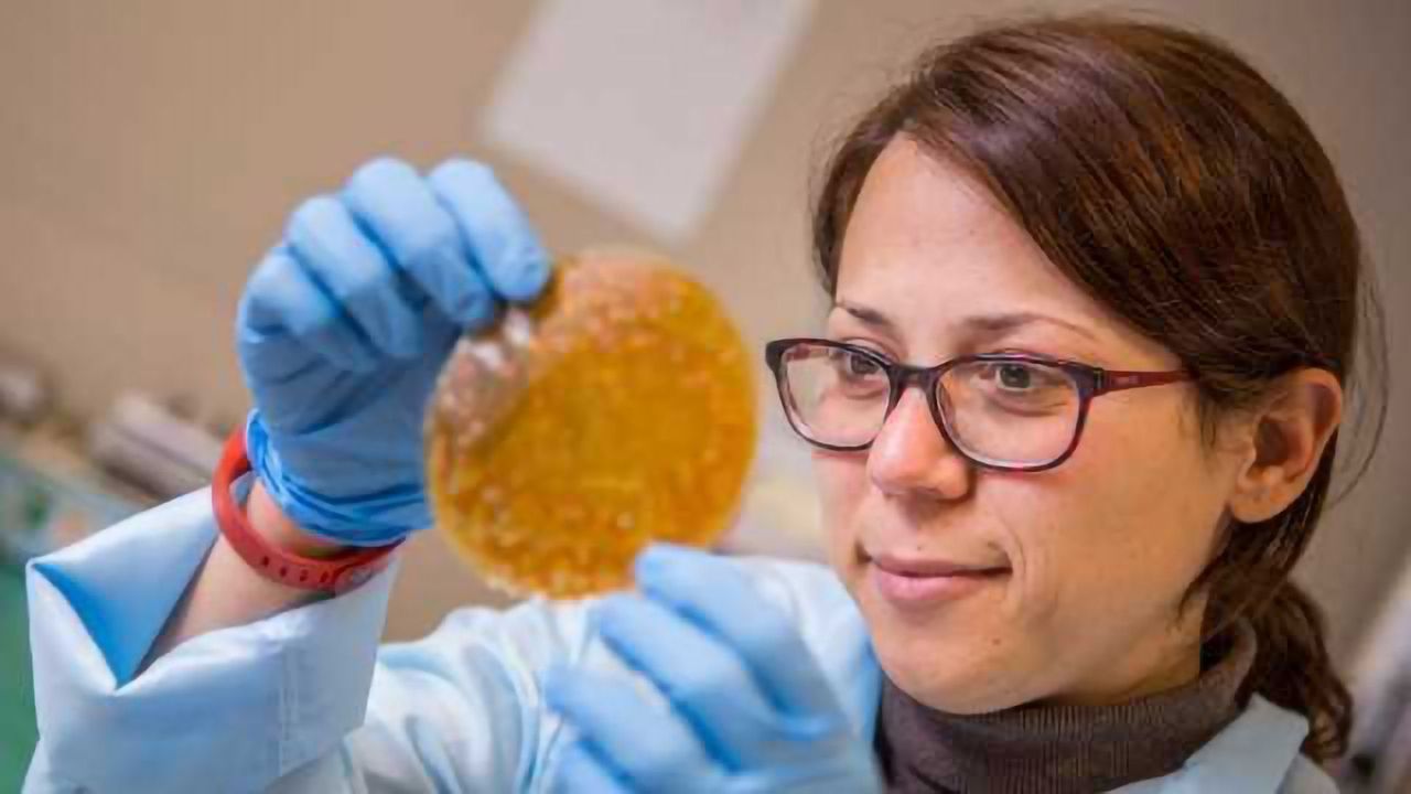 Using Milk Protein to 3D-Imprint Muscle and Bone Cells
