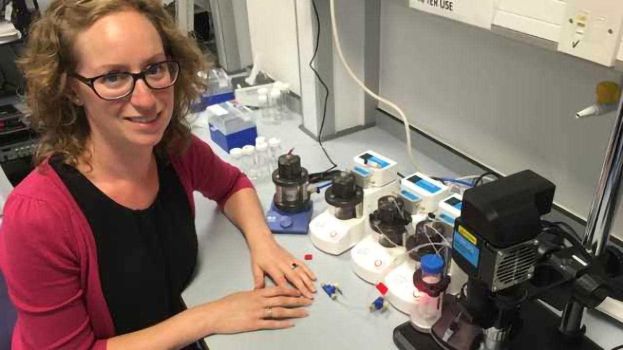 Single Cell RNA-Sequencing to Offer Miscarriage Hope