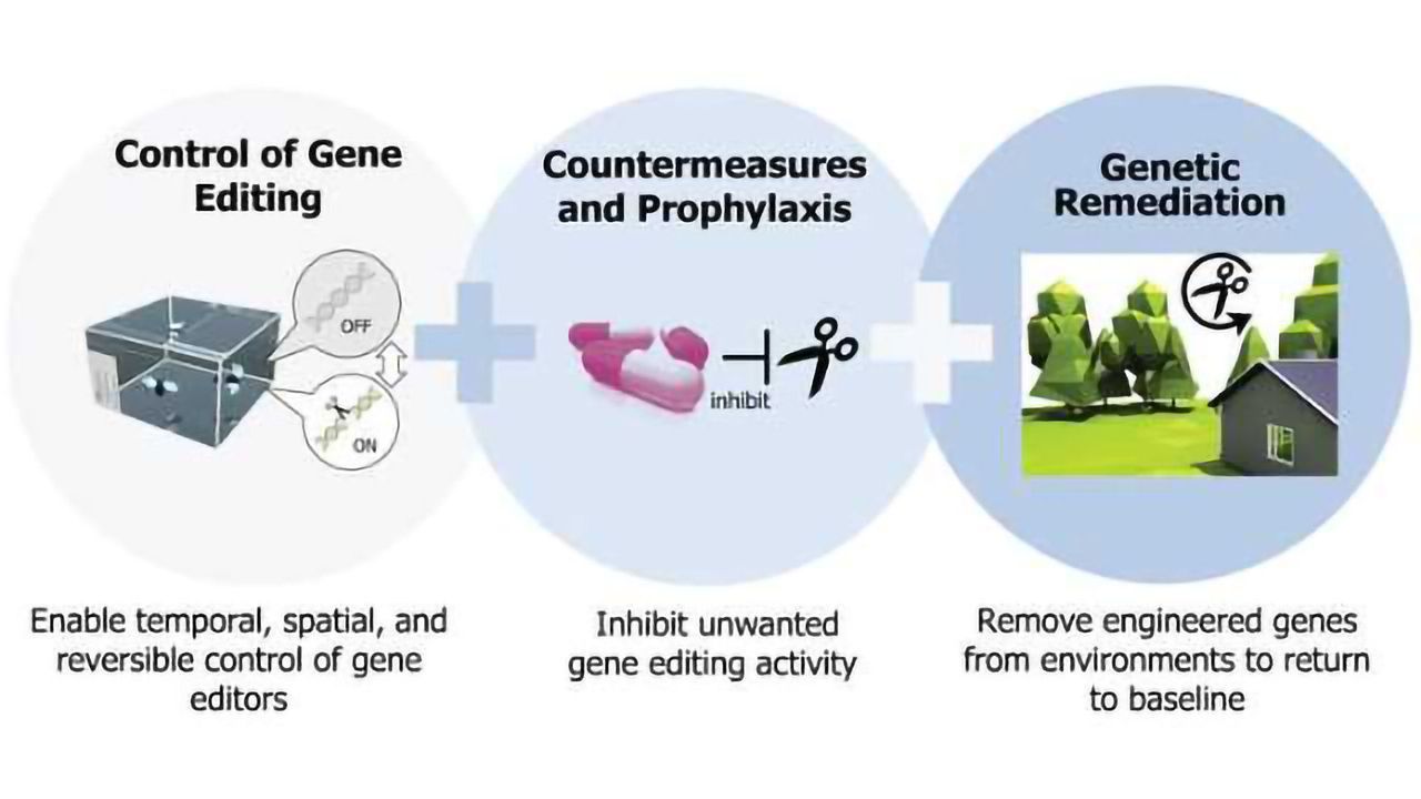 DARPA Pours $65 Million Into Making CRISPR Safer