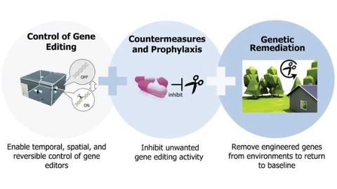 DARPA Pours $65 Million Into Making CRISPR Safer