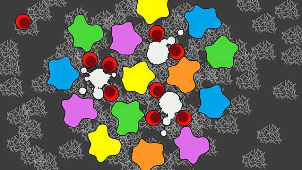CRISPR Reveals New Targets for Promising Cancer Drugs