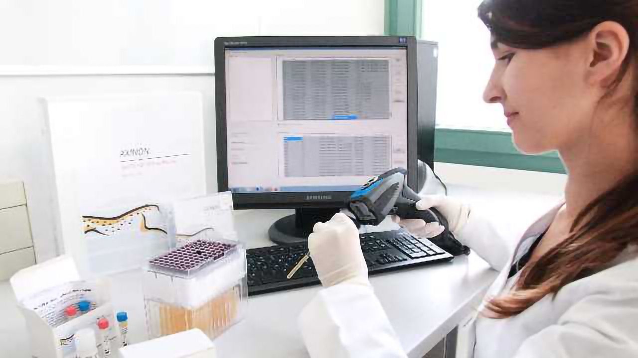 How Metabolomic Biomarker Networks Could Help Diagnose Bladder Cancer