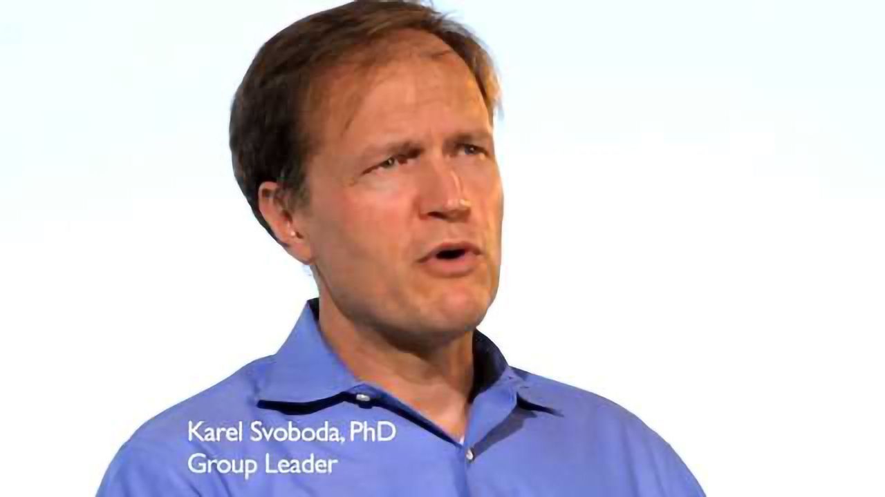 A Day in the Life of Karel Svoboda Group Leader at Janelia Research Campus