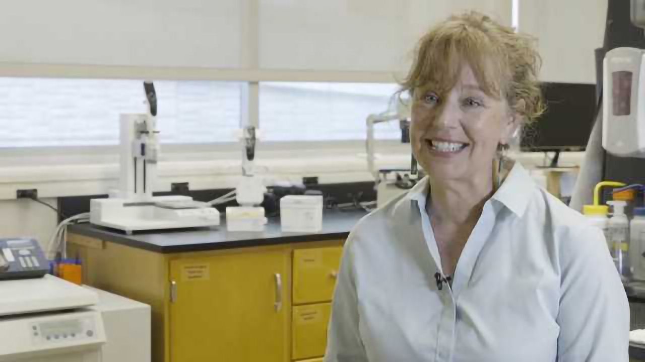 Automating Early Stage Cell Based Assay Development