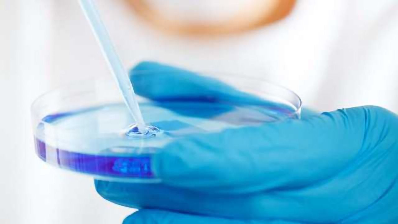 Data Integrity for Endotoxin Testing – New FAQs Released to the QC Insider™ Toolbox