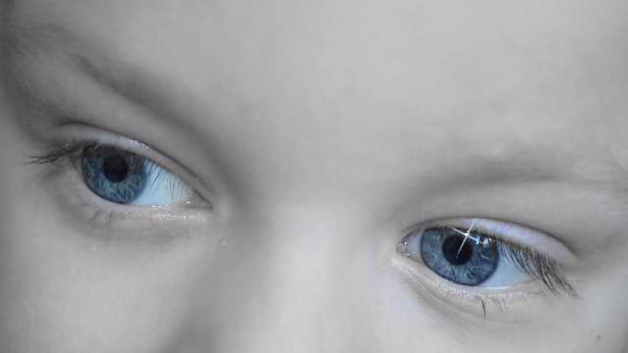Visual Blueprints Present From Birth