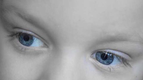 Visual Blueprints Present From Birth