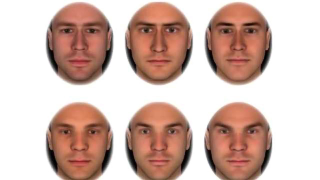 Superior Pattern Detectors Efficiently Learn to Stereotype