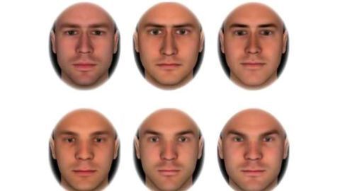 Superior Pattern Detectors Efficiently Learn to Stereotype