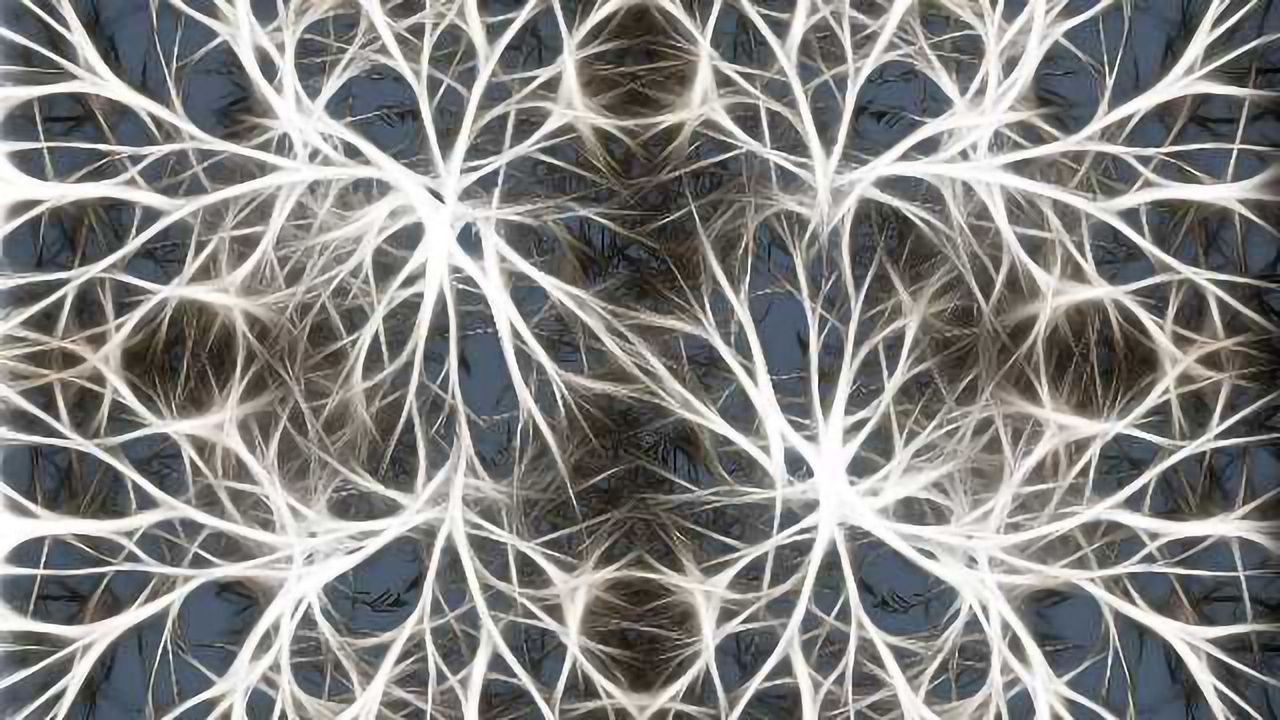 Large-Scale Production of Living Brain Cells Enables Entirely New Research