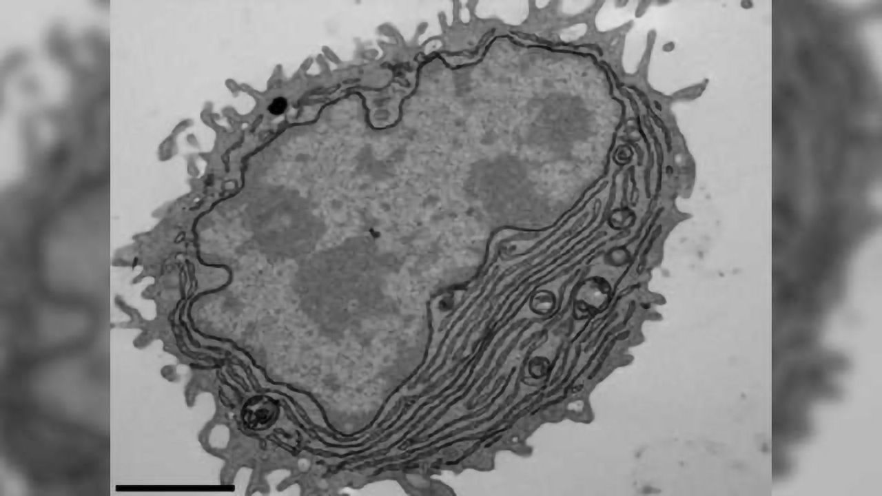 Researchers Develop New Method to Generate Human Antibodies