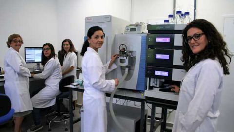 Steaming Fish Eliminates More Cyanotoxins Than Boiling