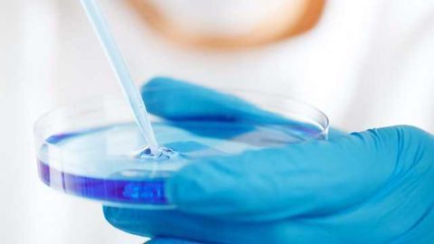 Lonza Launches A Innovative Concept in Biological Manufacturing and Development