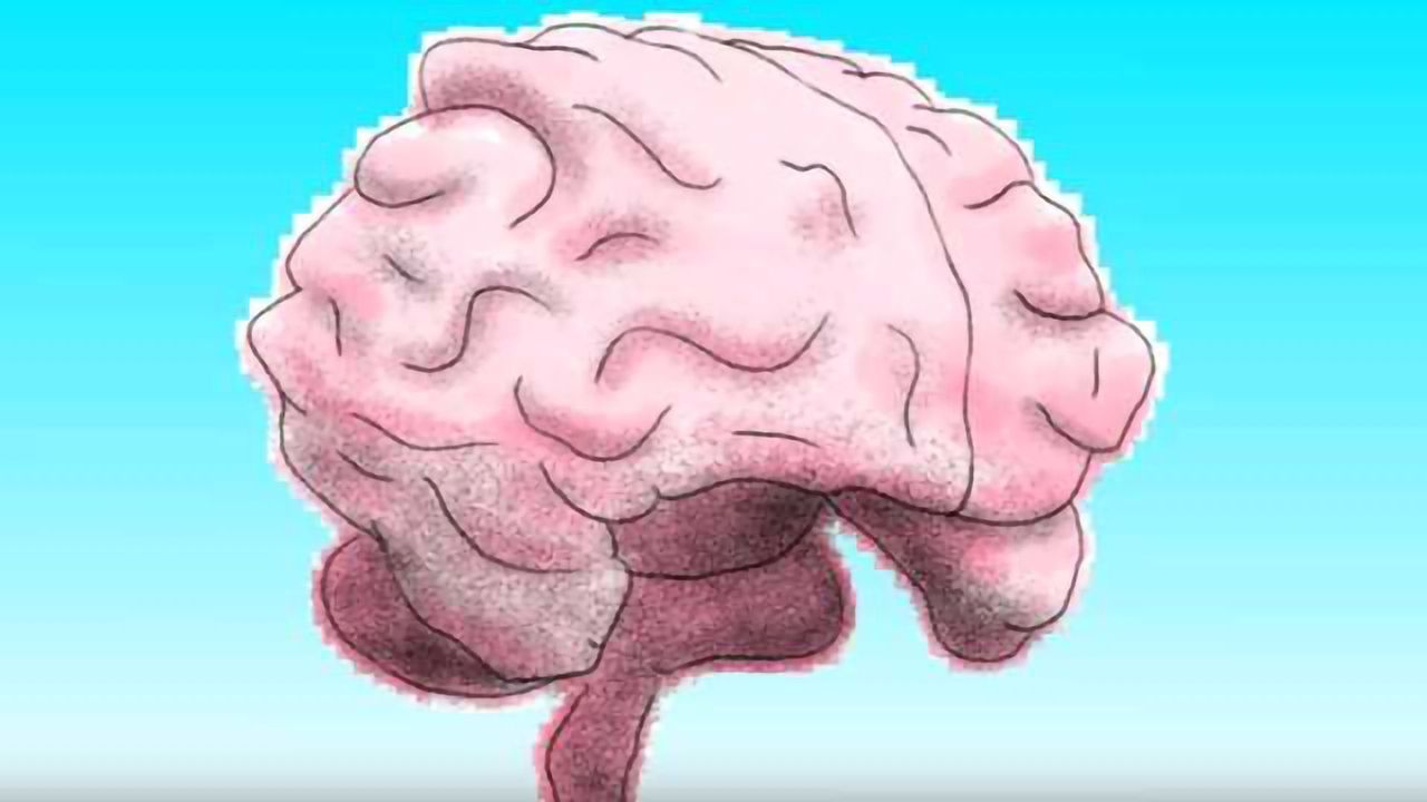 The left brain vs. right brain myth