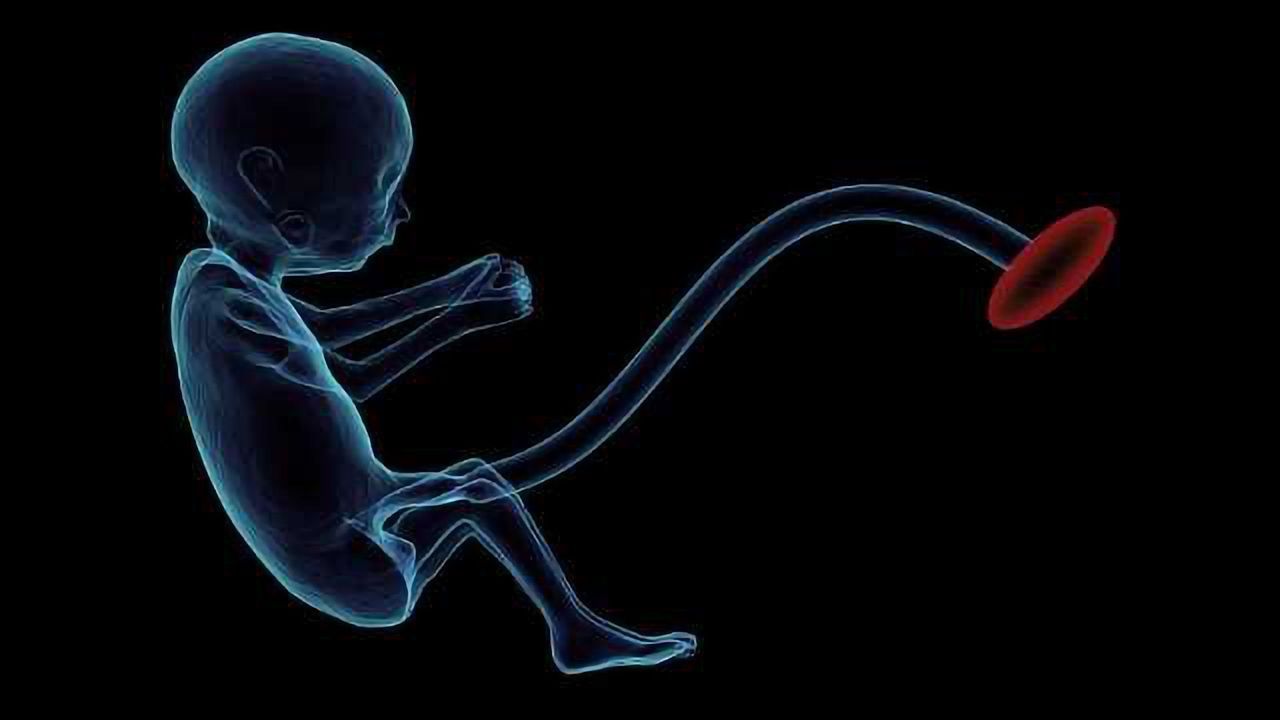 Irvine Scientific Introduces Single-Step Culture Medium for IVF