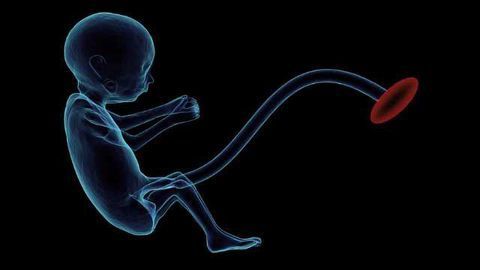 Irvine Scientific Introduces Single-Step Culture Medium for IVF