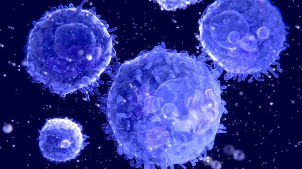 A Cellular Immune Surveillance Mechanism that Detects Cancer Early
