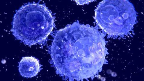 A Cellular Immune Surveillance Mechanism that Detects Cancer Early