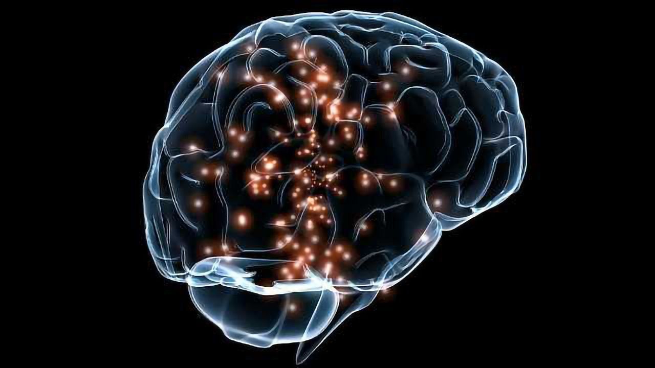 A Rogue Gene is Causing Seizures in Babies. Here’s How MSU Wants to Stop it