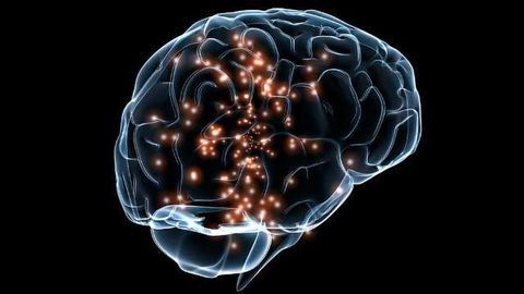 A Rogue Gene is Causing Seizures in Babies. Here’s How MSU Wants to Stop it