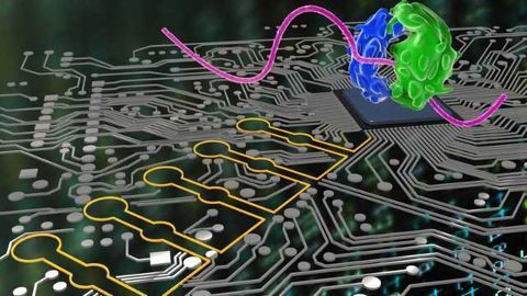 Programming Cells with Computer-like Logic