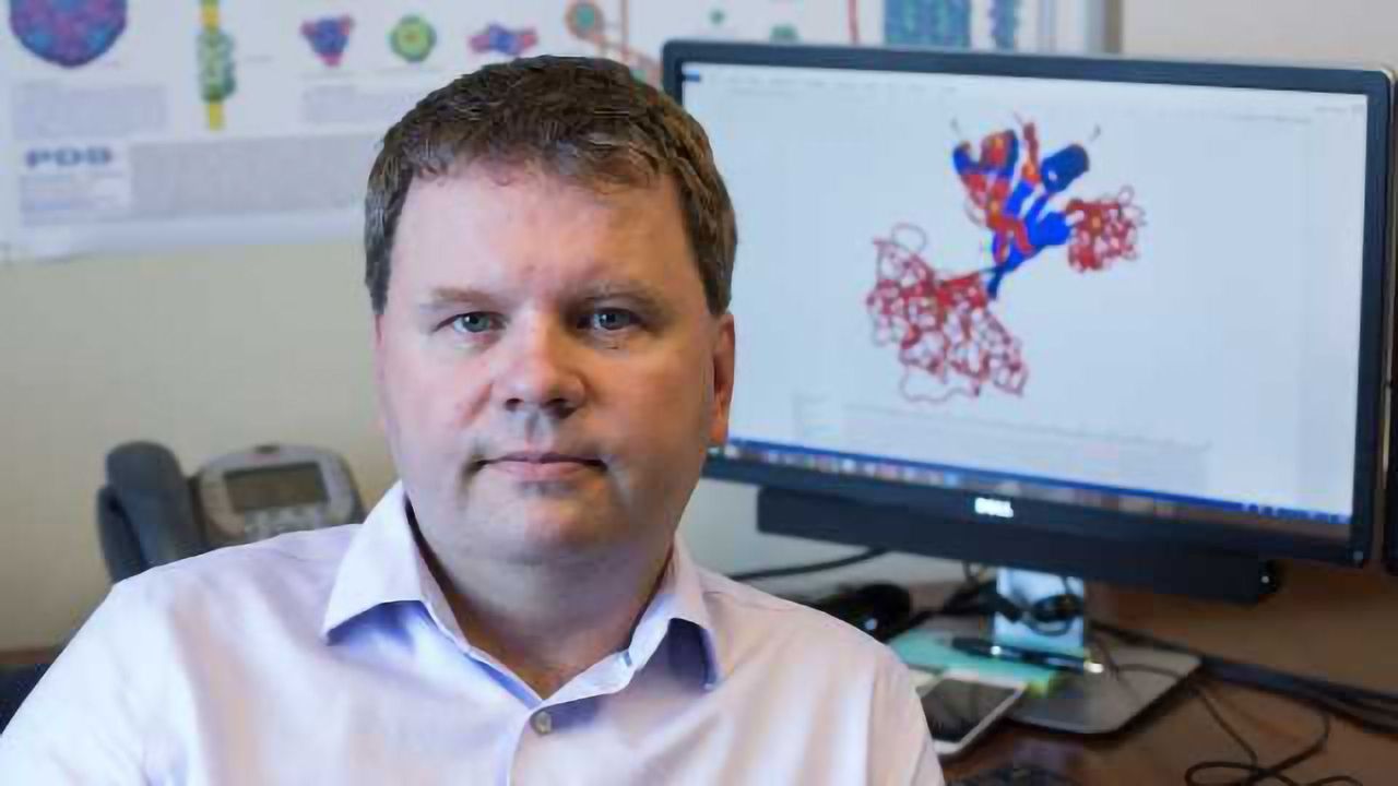 Bioinformatics to Help Understand Intrinsically Disordered Proteins