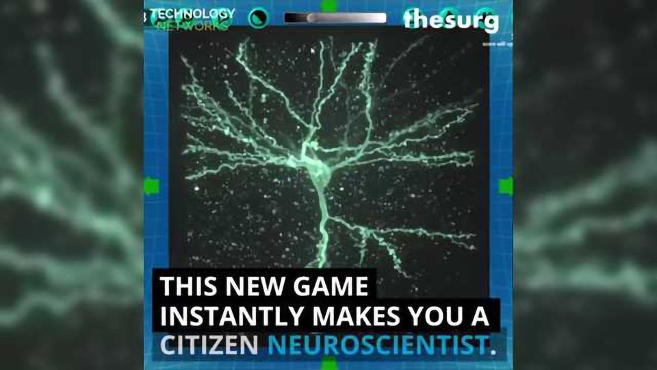 Help Solve the Structure of the Brain content piece image
