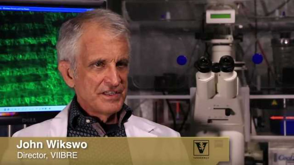 Blood-Brain Barrier-on-a-Chip content piece image