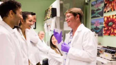 Kidney-on-a-Chip Will Travel to Space