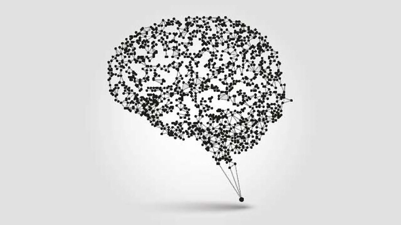 Citizen Neuroscience: People Power Increase Brain Mapping Speed