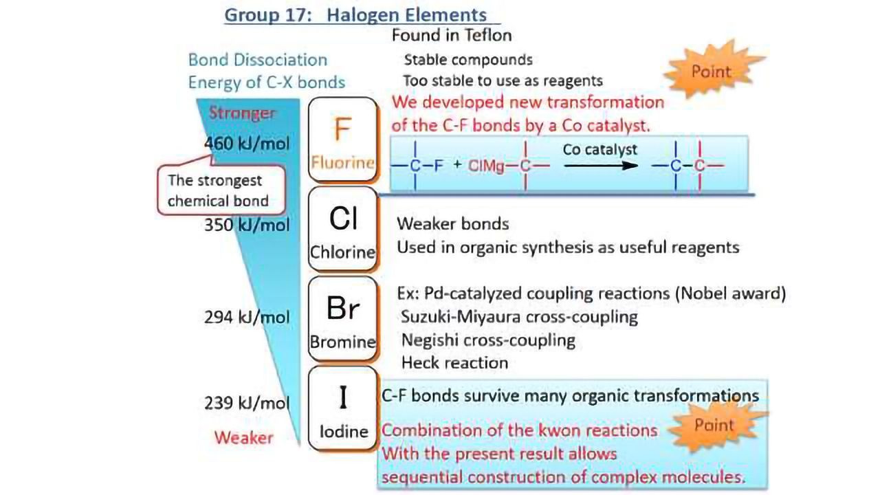 Team Enhances Catalytic System to Perform Grignard Reaction on Carbon-Fluorine Bonds