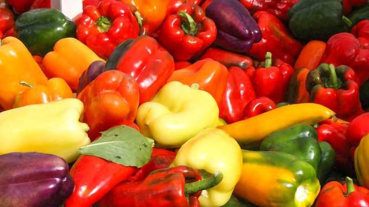 Integrated Informatics: The Secret Ingredient for Robust Supply Chain Traceability