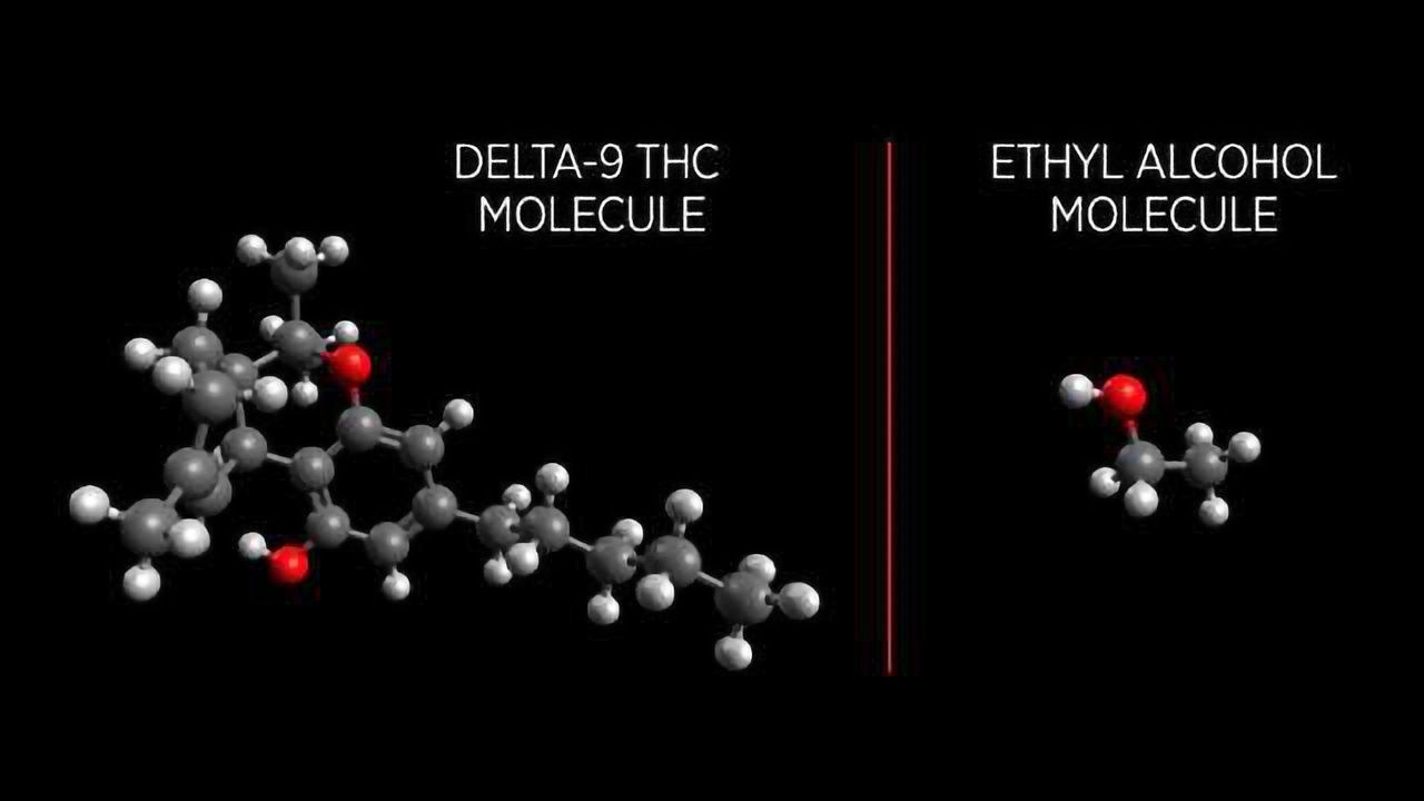 Laying the Groundwork for a Reliable Marijuana Breathalyzer