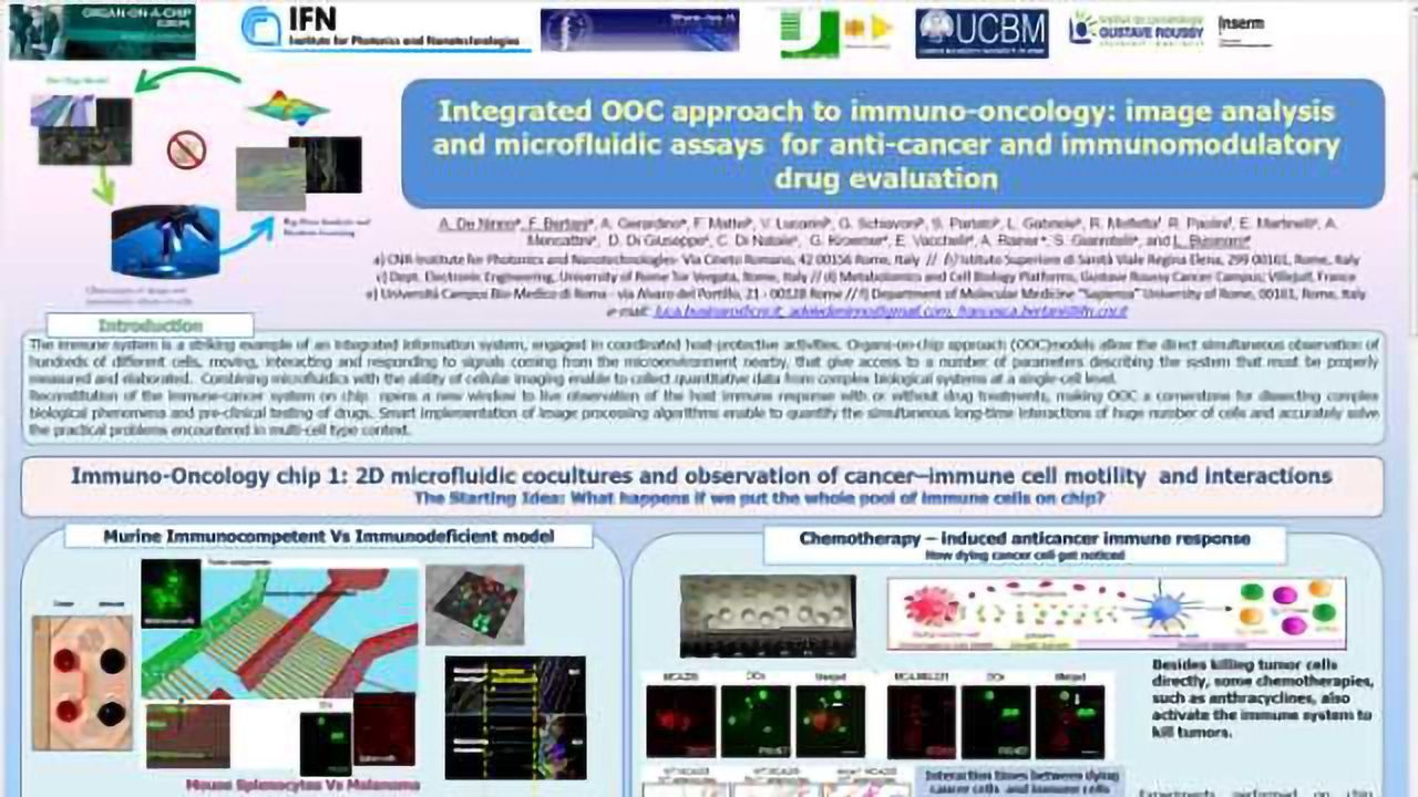 Immunotherapy on Chip: “Under the Microscope” Drug-induced Modulation of the Immune Response
