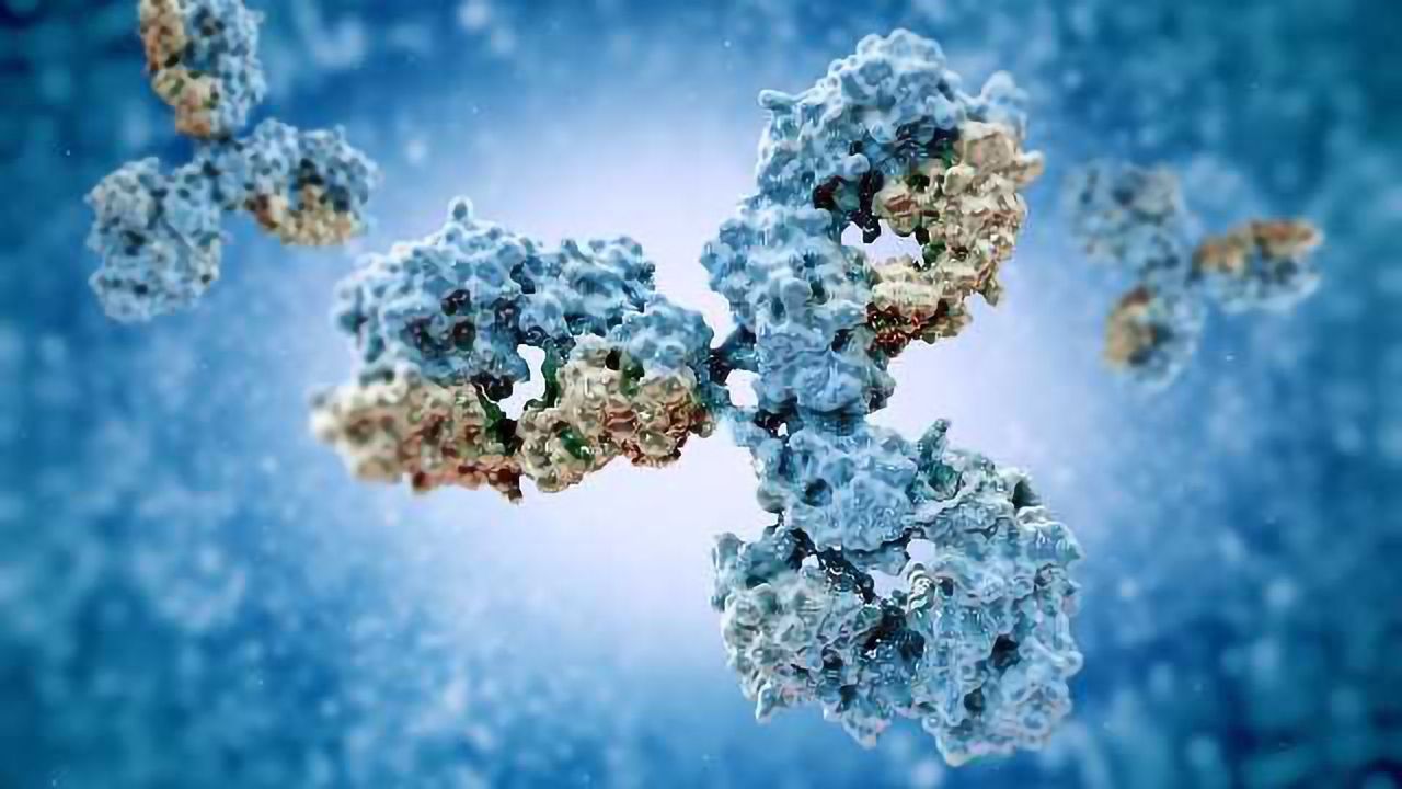 Antibodies in Drug Discovery: Identifying Novel Biomarkers to Overcome Sjögren’s Syndrome