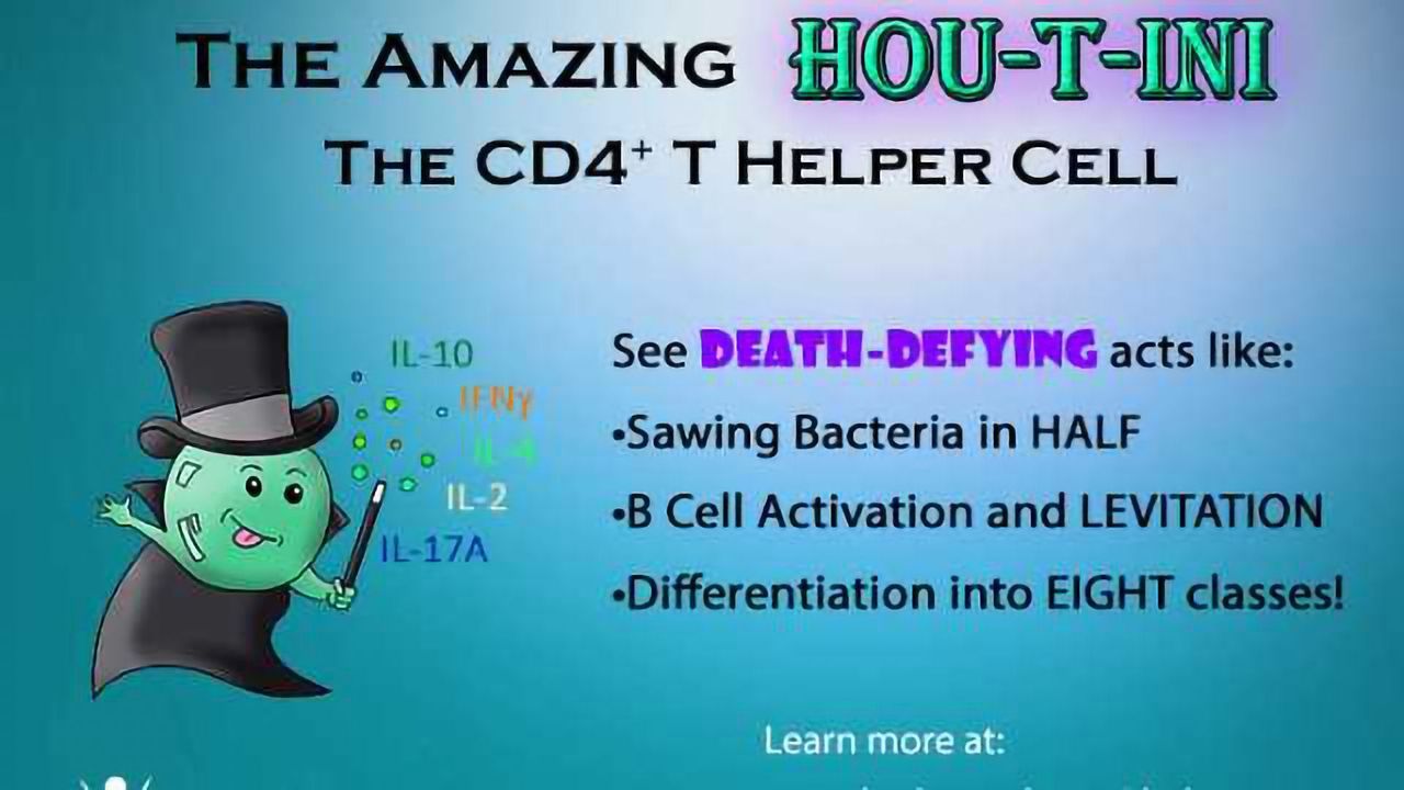 The Amazing Hou-T-ini!