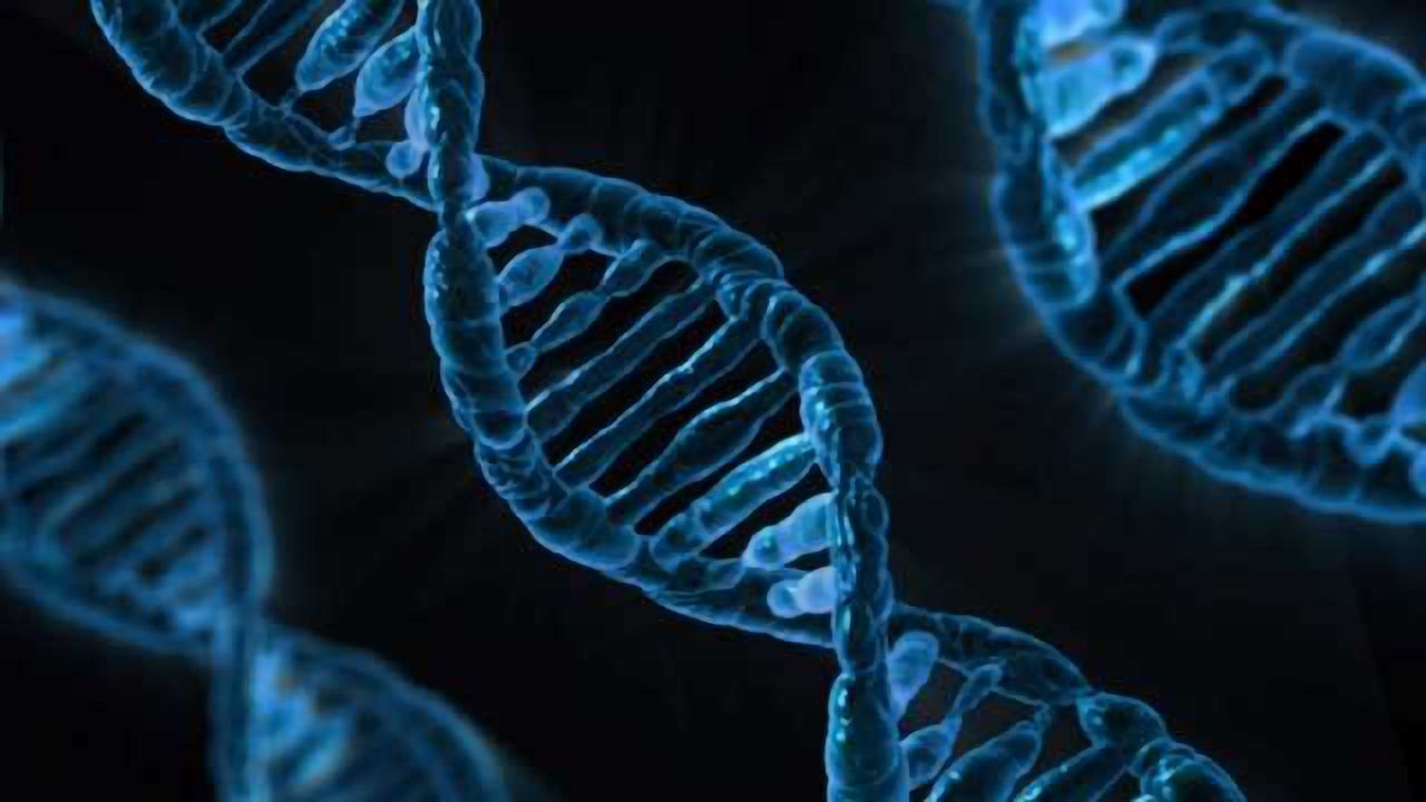 Geneformics Launches the First Truly Scalable Genomics Data Compression Solution to Accelerate the Migration of Precision Medicine to the Cloud