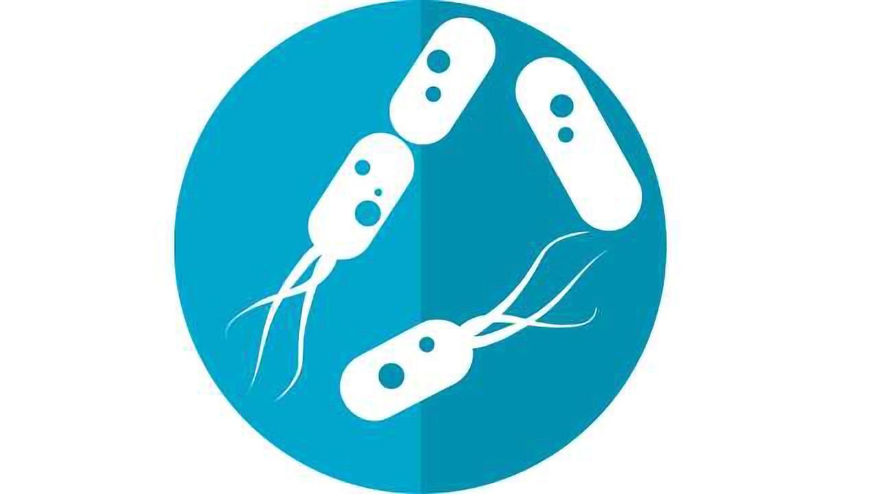 Human Gut Microbe May Herald New Treatment for Multiple Sclerosis