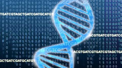 CRISPR Used to Identify Genes Essential for Cancer Immunotherapy