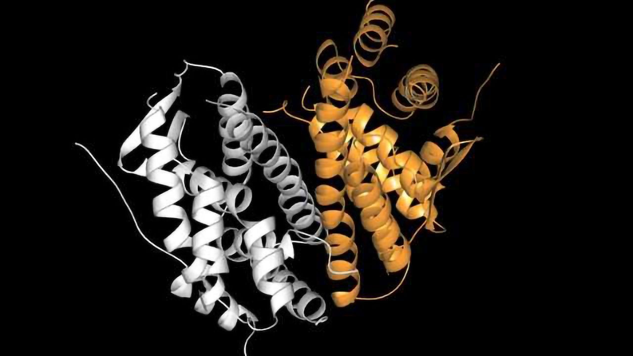 First-in-class Drug Holds Promise for Therapy-resistant Breast Cancer