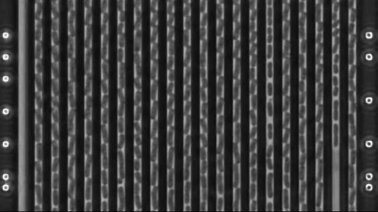 New Ultrafast Method for Determining Antibiotic Resistance