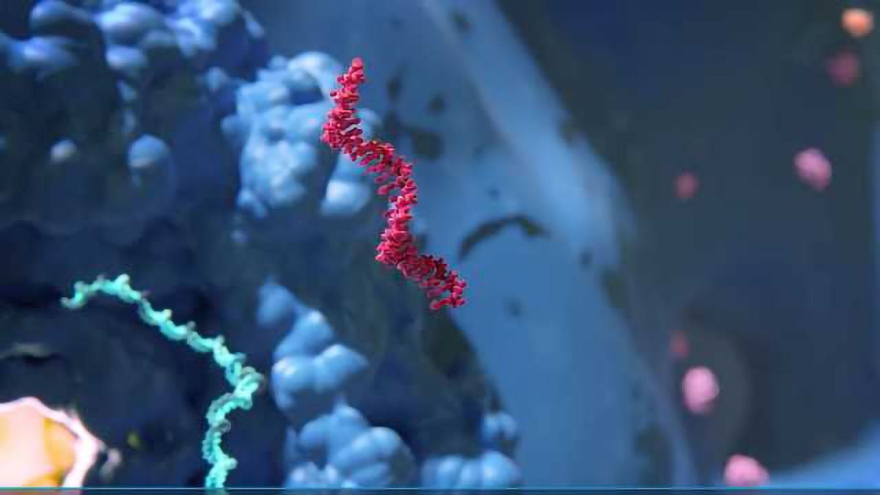 RNAi, a Promising Potential New Class of Medicines