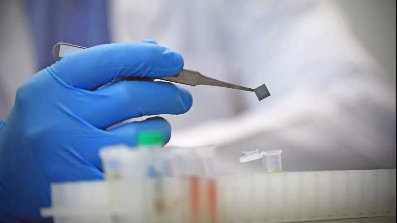 Point-of-Care Zika Test Developed
