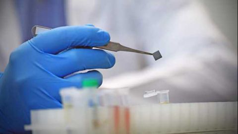 Point-of-Care Zika Test Developed