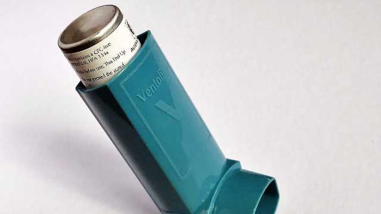 Cell ‘Checkpoint’ that Stops Allergic Diseases Identified