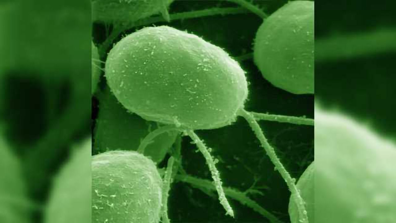 Mercury Is Altering Gene Expression