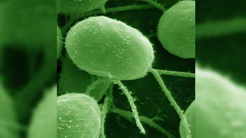 Mercury Is Altering Gene Expression