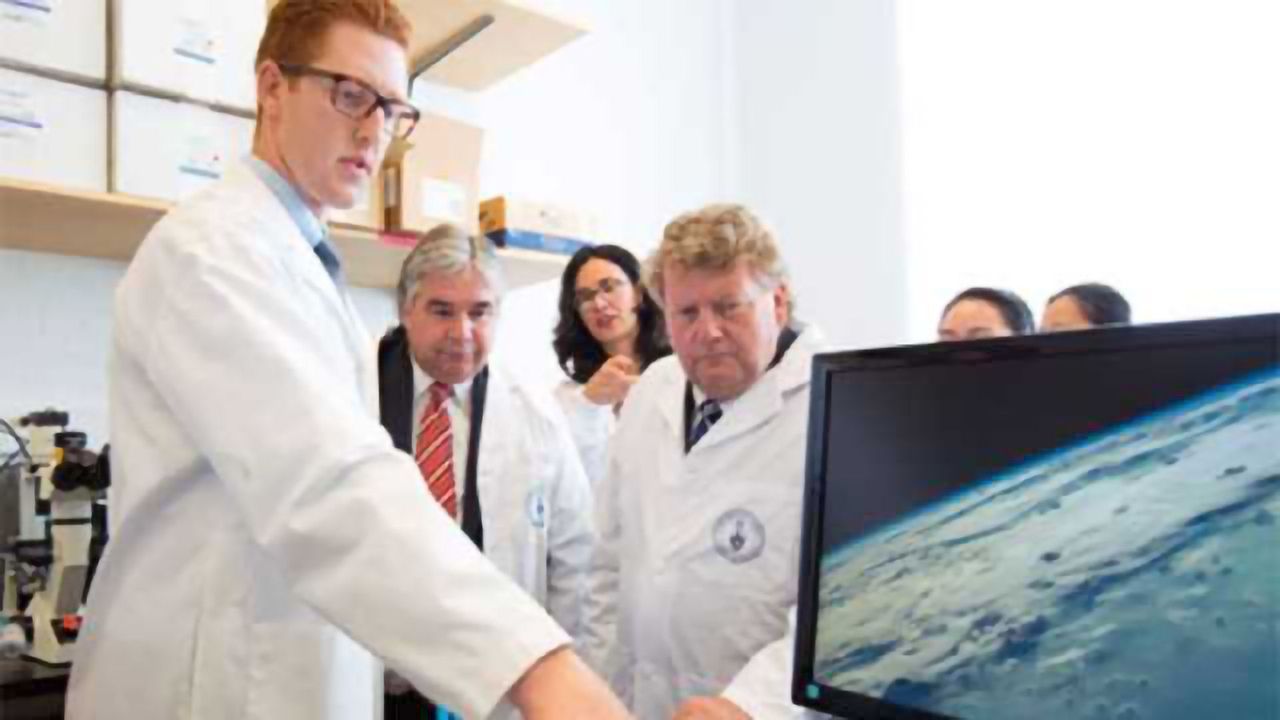 Injectable Tissue Patch Could Help Repair Damaged Organs