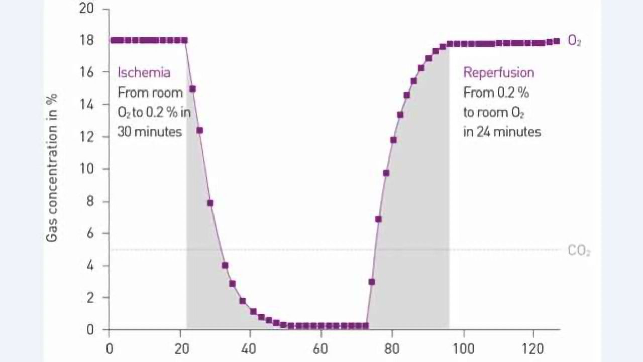 The World's First In Vitro Reproduction of Ischaemia/Reperfusion Conditions in A Microplate Reader
