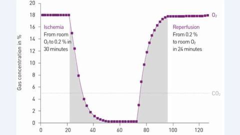 The World's First In Vitro Reproduction of Ischaemia/Reperfusion Conditions in A Microplate Reader